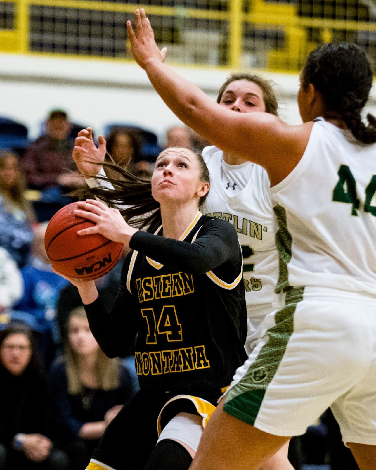 Rocky Mountain College vs. MSU Billings